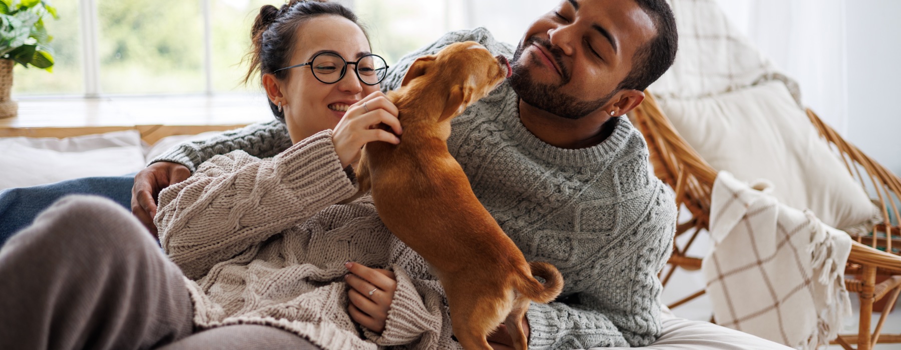 Pet-Friendly Apartments