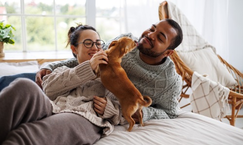Pet-Friendly Apartments in Decatur: What to Look For  Cover Image