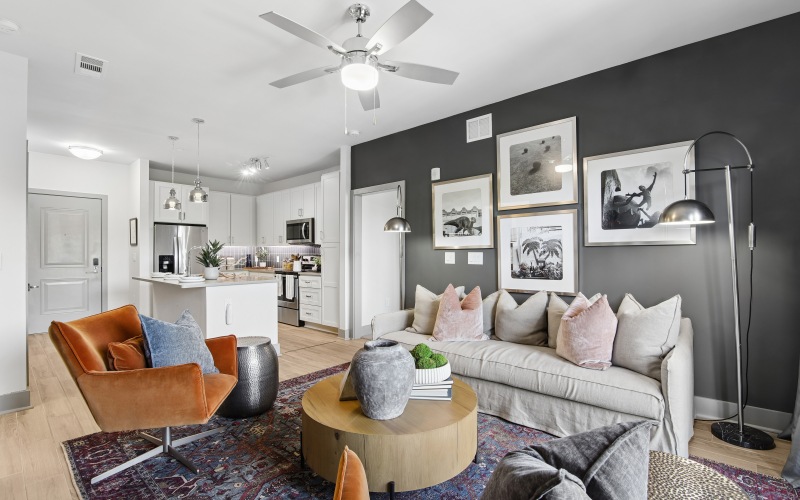 Connect Decatur apartment living room in Decatur, Georgia with bright light and modern finishes