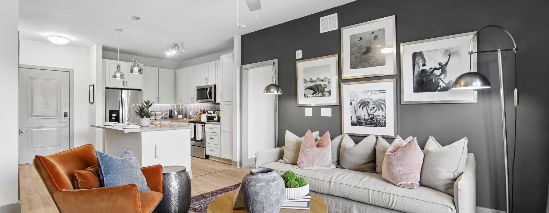 Connect Decatur apartment living room in Decatur, Georgia with bright light and modern finishes