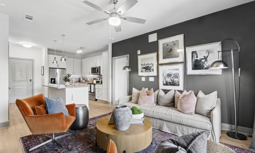 Connect Decatur apartment living room in Decatur, Georgia with bright light and modern finishes